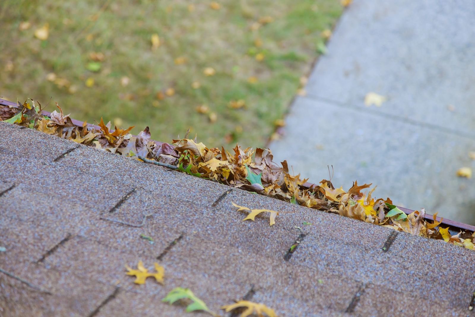 Leaf-clogged gutter along the roofline of a Richmond, VA home