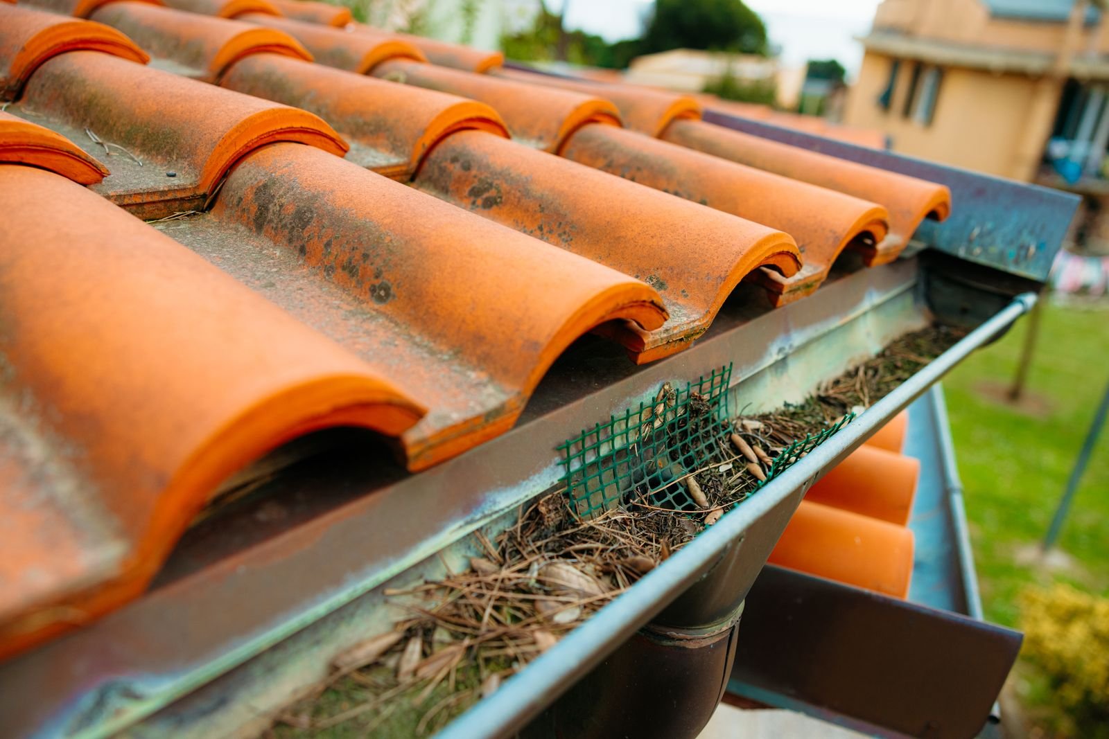 Debris caught in a gutter beneath tile roofing